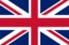 Selected Language Flag