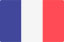 French Flag
